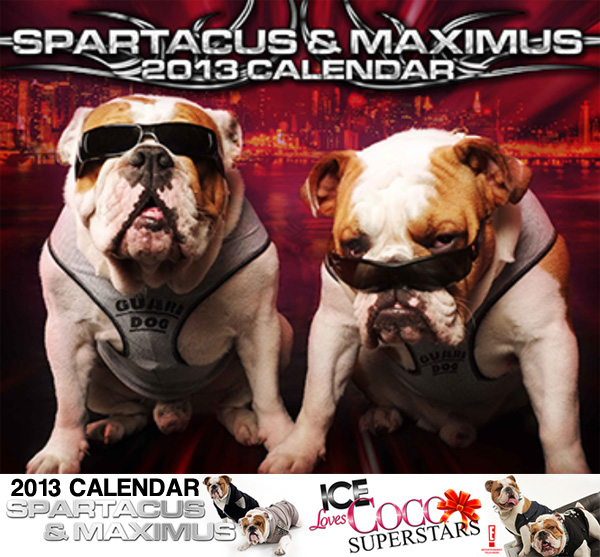 Spartacus & Maximus Calendar Post Image
